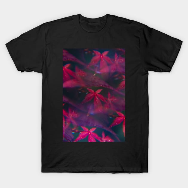 Japanese maple, or Acer, shot through a prisma T-Shirt by karinelizabeth